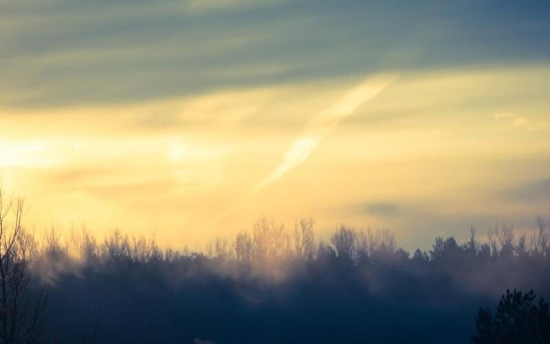 Sunrise Morning