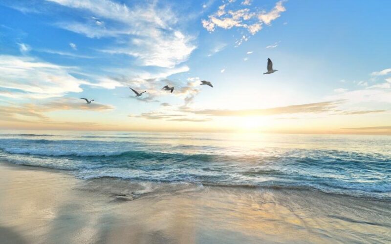 Nature Beach